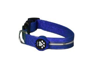 Aviditi BL601 L LED Lighted Dog Collar, Blue with Blue LED Lights, Large  Pet Collars 