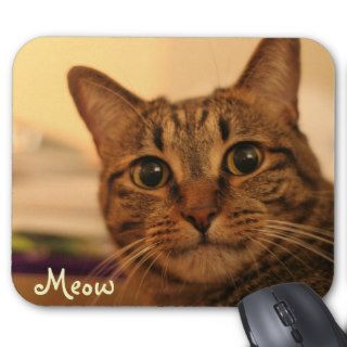Cute tabby cat face mousepad