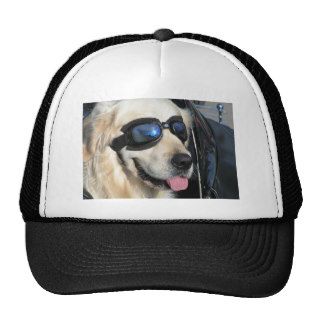 Cap coolly Dog Biker Dog Trucker Hats