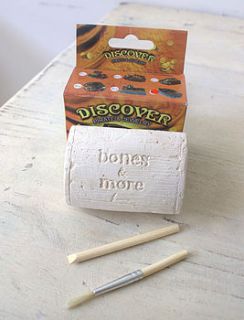pirate discovery excavation kit by little ella james