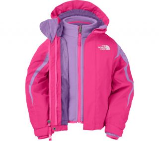 The North Face Mountain View Triclimate Jacket