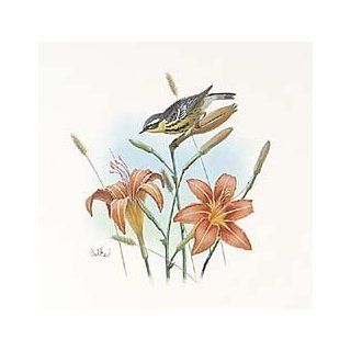 Balke Magnolia Warbler/Common Day Lily  Other Products  