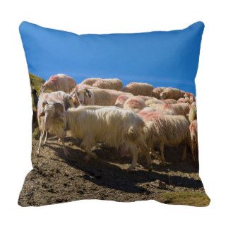 The Basque Béarnaise or Basque Sheep Herd Throw Pillows