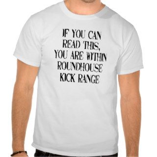 You are within roundhouse kick range. FUNNY Tee