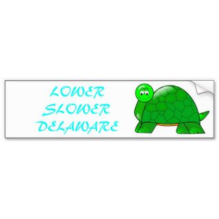 Lower Slower Delaware Bumper Stickers