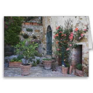 Italy, Petroio. Potted plants decorate a patio Card