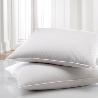 Sneeze free Allergen Defense Down Alternative Pillow (Set of 2) Down Alternative Pillows