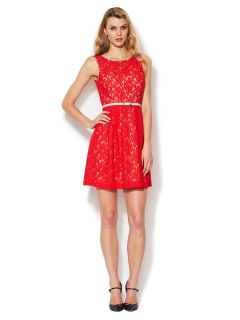 Lace Belted Swing Dress by Ava & Aiden