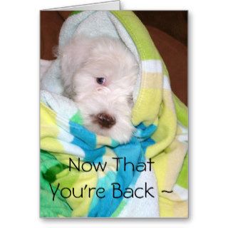 Snuggle/Welcome Back Greeting Cards