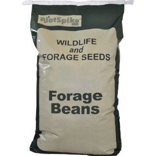 PlotSpike Forage Soybeans Plant, 25 Pound  Grass Plants  Patio, Lawn & Garden