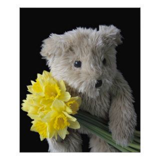 daffodil bear poster