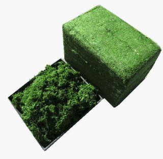 Moss Cube Topiary  Outdoor Decor  Patio, Lawn & Garden