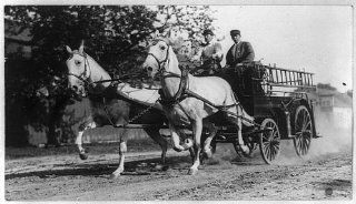 Photo Ladder truck, fire department, horse drawn wagon, equipment, Columbus, Ohio, OH, c1912   Prints