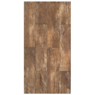Interceramic 11 Pack Forestland Cypress Glazed Porcelain Floor Tile (Common 6 in x 24 in; Actual 5.91 in x 23.63 in)