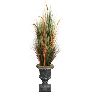 Laura Ashley 74 Tall Onion Grass With Cattails In 16 Fiberstone Planter