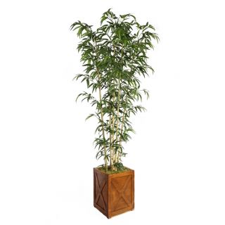 Laura Ashley 81 inch Tall Natural Bamboo Tree In 13 inch Fiberstone Planter