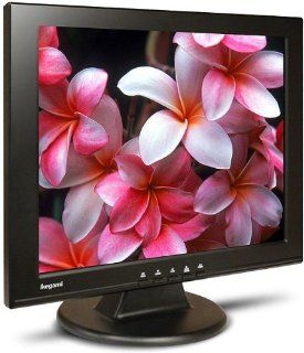 Ikegami LCD 15 15 inch Color LCD Monitor, 1024x768  Surveillance Monitors  Camera & Photo