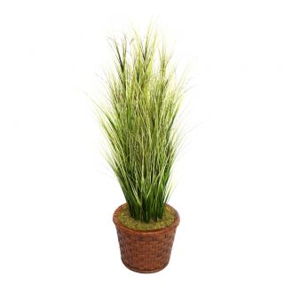 Laura Ashley 65 Tall Onion Grass With Twigs In 17 Fiberstone Planter