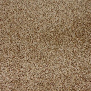 STAINMASTER Stanfield Henna Cut Pile Indoor Carpet