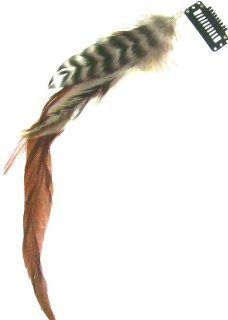 Clip in Feather Hair Extension  Beauty