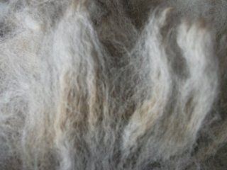 Gray Alpaca Handspinning Felting Fiber Fleece Wool