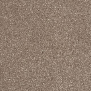 Shaw 7L52200708 Brown Textured Indoor Carpet