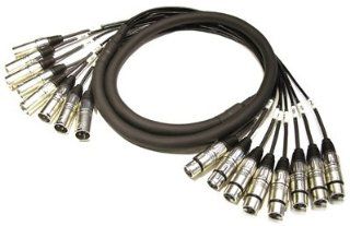 10' 8 CHANNEL XLR MALE TO XLR FEMALE SNAKE CABLE 10 FT KIRLIN MT 815 Musical Instruments