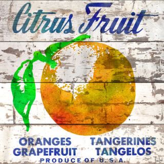 Jen Lee Art Citrus Fruit Barn Siding Graphic Art Plaque 34007 WB Size 20 x 20