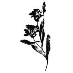 Penny Black Mounted Rubber Stamp 2.5 X4.5   Carnation