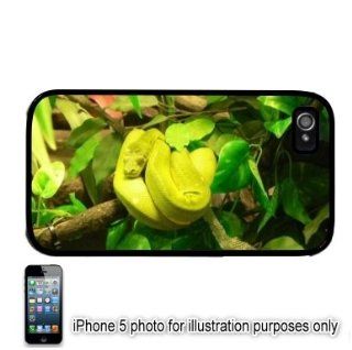 Green Tree Python Snake Photo Apple iPhone 5 Hard Back Case Cover Skin Black Cell Phones & Accessories