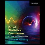 Excel Statistics Companion   With CD