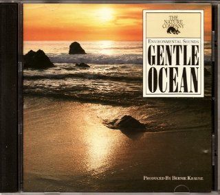 Environmental Sounds Gentle Ocean Music