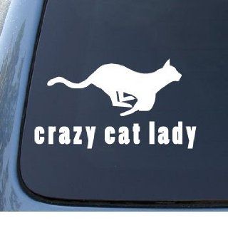 CRAZY CAT LADY   Kitty   Car, Truck, Notebook, Vinyl Decal Sticker #1095  Vinyl Color White Automotive