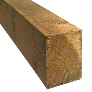 Severe Weather #2 Pressure Treated Lumber (Common 6 x 6 x 8; Actual 5.5 in x 5.5 in x 96 in)