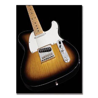Trademark Fine Art Telecaster II by Fender Canvas Artwork, 24 by 32 Inch   Oil Paintings