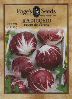 Radicchio, Rouge De Verone  Herb Seed Packet  Patio, Lawn & Garden
