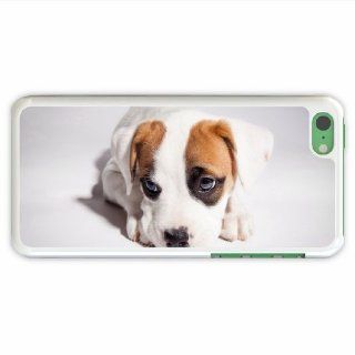 Design Apple Iphone 5C Animal Puppy Of Birthday Present White Cellphone Shell For Everyone Cell Phones & Accessories