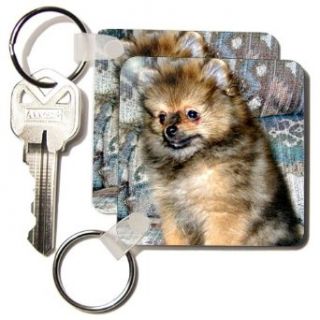 Roxy, Pomeranian Puppy   Set Of 2 Key Chains Clothing