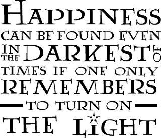 HARRY POTTER DUMBLEDORE HAPPINESS CAN BE FOUND TURN ON THE LIGHT VINYL WALL DECAL HOME DECOR QUOTE   Wall Decor Stickers  