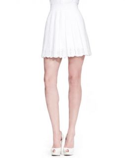 Womens Pleated Sangallo Lace Skirt, White   Alexander McQueen   White (40/6)