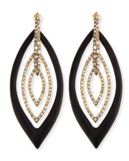 Pave Crystal & Lucite Orbital Post Earrings   Alexis Bittar   Silver