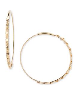 14k Small Glam Magic Hoop Earrings   Lana   Gold (14k )