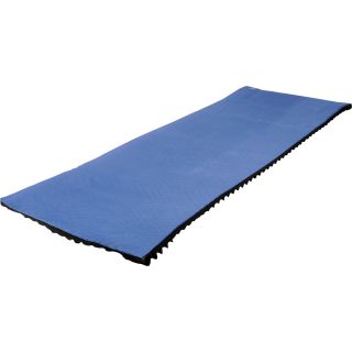 ALPINE DESIGN Large Foam Sleeping Pad   Size Reg