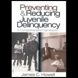 Preventing and Reducing Juvenile Delinquency  A Comprehensive Framework
