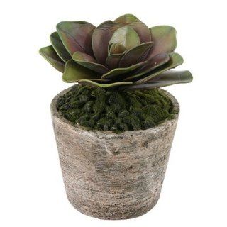 Potted Hibisus Succulent   Artificial Mixed Flower Arrangements