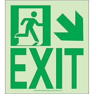 NYC Wall Mount Exit Sign, Down Right, 9X8, Flex, 7550 Glow Brite, MEA Approved