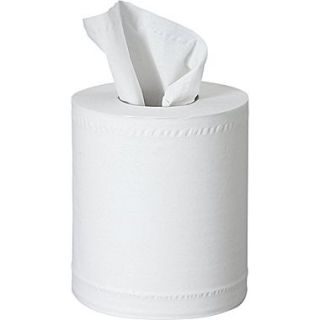 Scott Center Pull Paper Towel, White, 2 Ply, 6 Rolls/Case  Make More Happen at