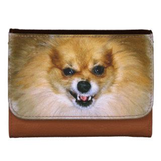 Wallet Mad Dog Marley Pomeranian Fur