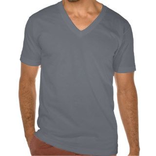 Plain Asphalt Men's American Apparel Fine Jersey V T shirt