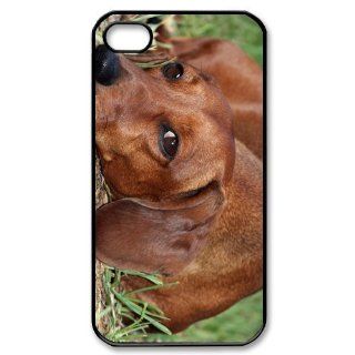 Dachshund Dog Lovely Photo iPhone 4/4s Case Back Case for iphone 4/4s Cell Phones & Accessories